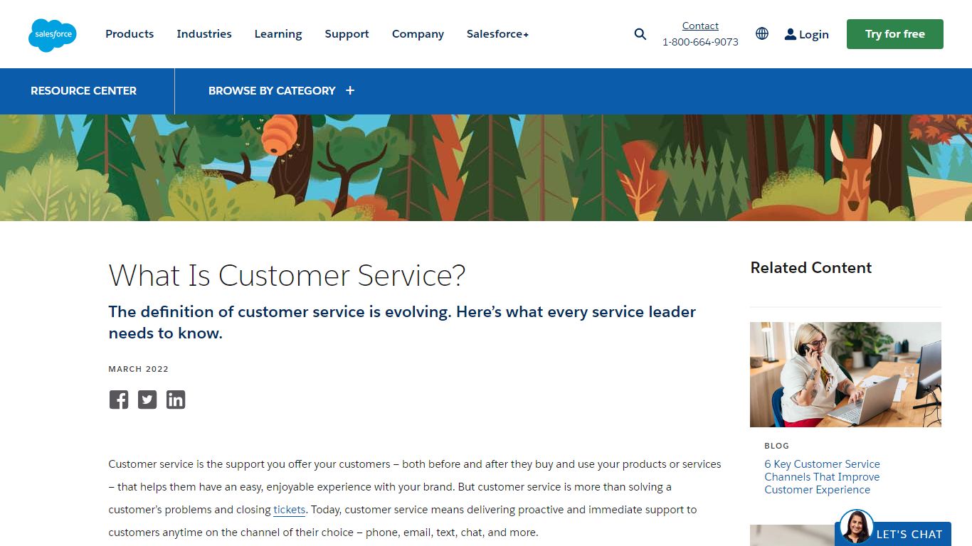 What is Customer Service? Definition & Tips - Salesforce.com